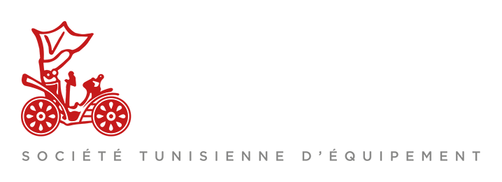 STEQ Logo